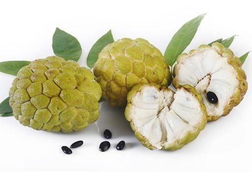 Nằm Mơ Thấy Con Mình Biết Đi: Giải Mã Và Ý Nghĩa