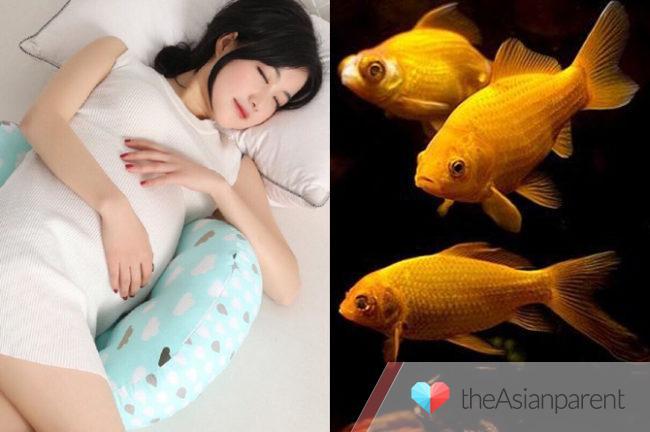 Bà bầu bắt cá to trong mơ