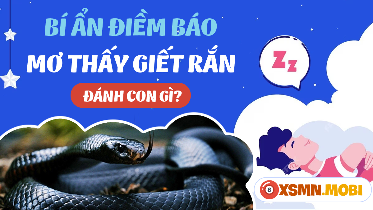 Bà bầu giết rắn trong sổ mơ