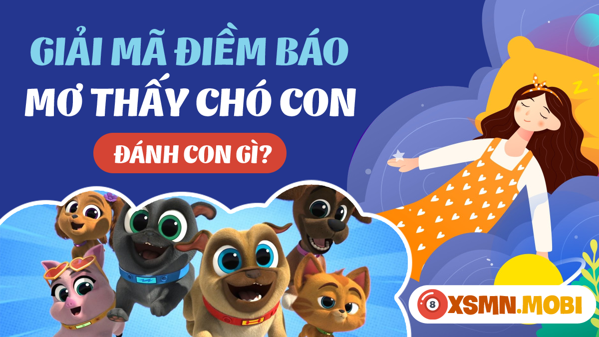 Nằm Mơ Thấy Răng Rụng Chảy Máu: Điềm Báo Gì Về Số Đề?