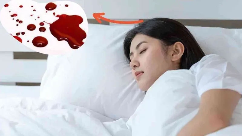 Giải Mã Giấc Mơ Thấy Chó Con Màu Đen
