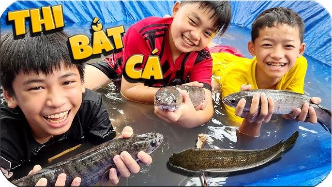Nằm mơ thấy ếch là điềm gì? Giải mã giấc mơ lô đề