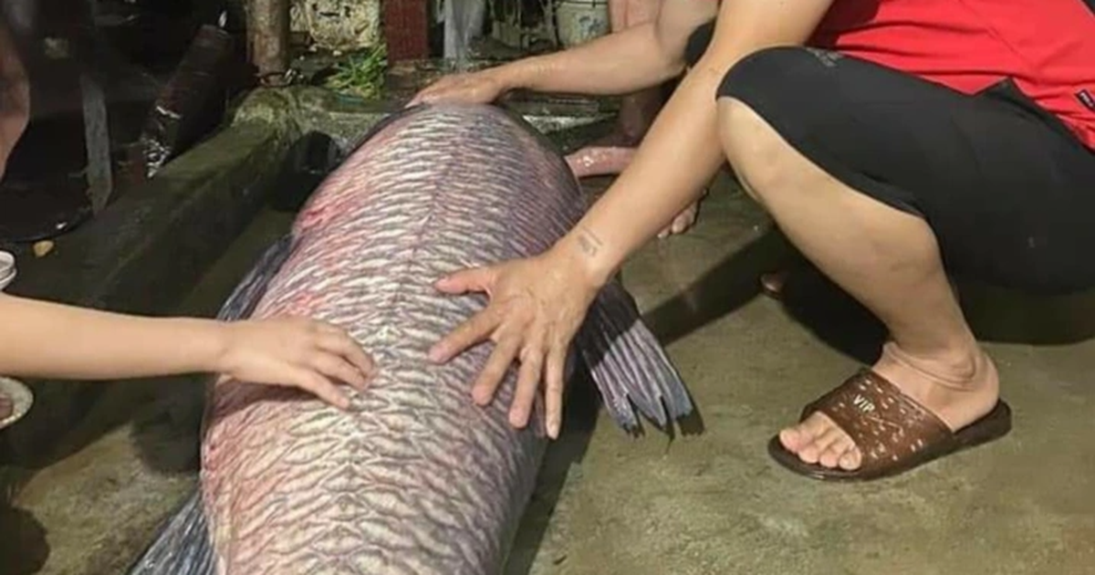 Nằm Mơ Mình Bị Lạc Đường Đánh Con Gì?
