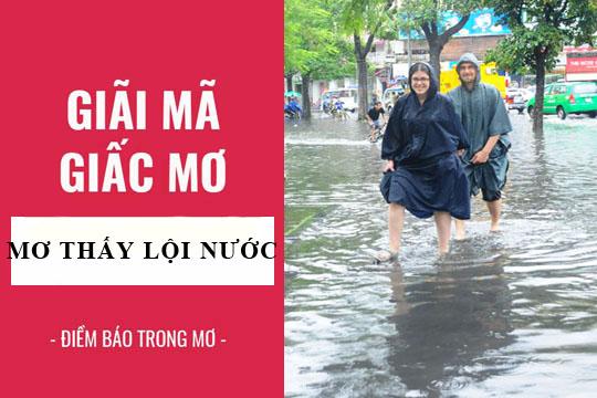 Giải Mã Giấc Mơ Thấy Cá Trắm Cá Chép