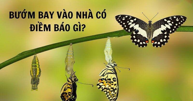 Nằm Mơ Thấy Sách Vở Đánh Con Gì? Giải Mã Bí Ẩn