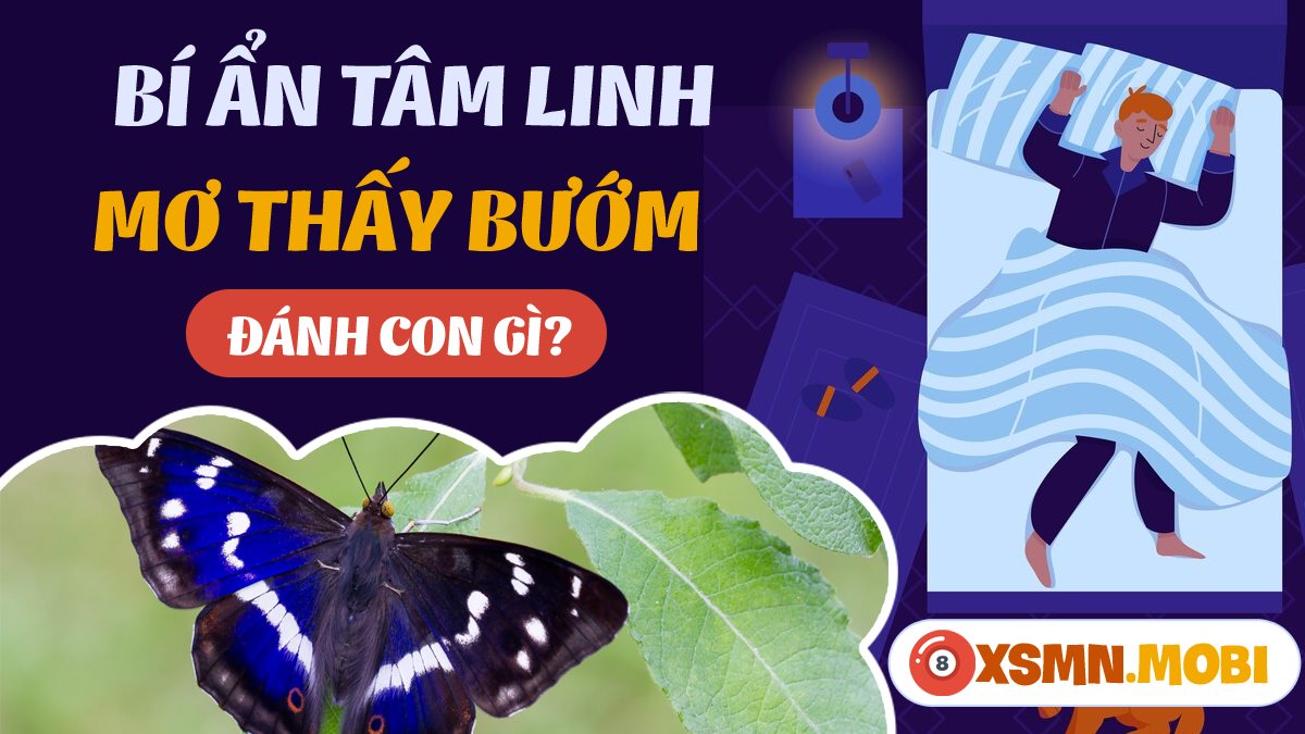 Nằm Mơ Thấy Mình Khóc Nức Nở: Điềm Báo Gì Về Số Đề?