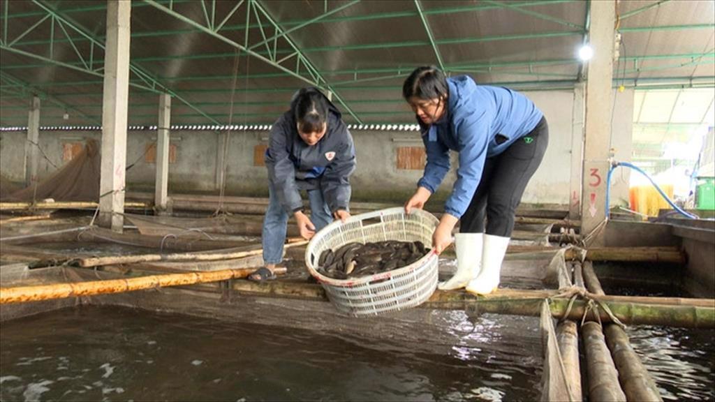 Nằm Mơ Thấy Lạc Mất Con: Giải Mã Và Ý Nghĩa