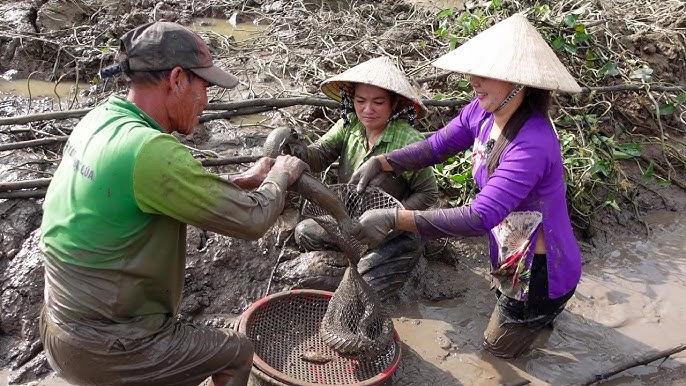 Giải Mã Giấc Mơ Thấy Cha Mẹ và Số Đề