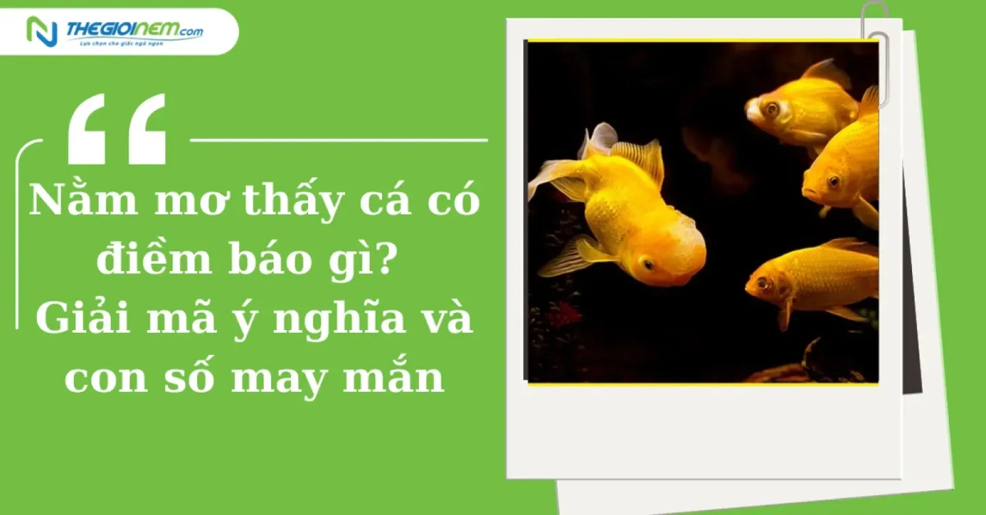 Giải Mã Giấc Mơ Thấy Mình Bay Trên Mặt Nước