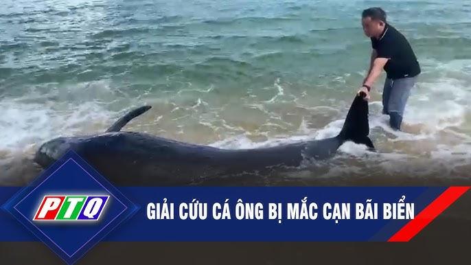 Giải Mã Giấc Mơ Thấy Hồ Và Những Con Số Liên Quan