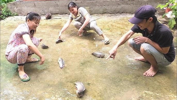 Cá Rô Phi Bờ Lên Bờ