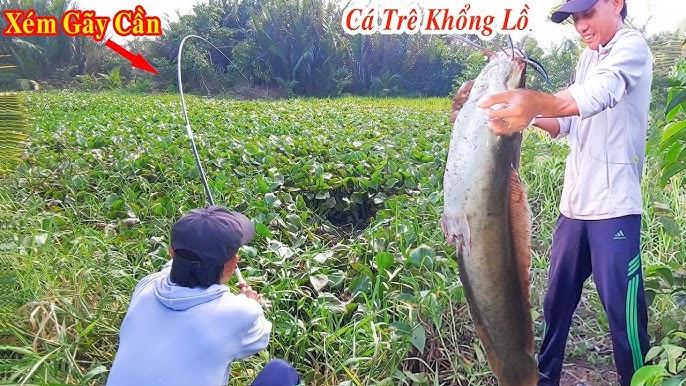 Nằm Mơ Thấy Xe Ủi Đánh Con Gì?