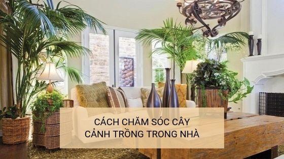 Nằm Mơ Thấy Người Khác Chải Tóc Cho Mình: Điềm Báo Gì?