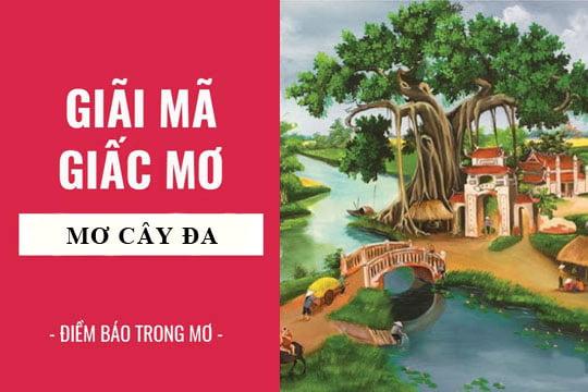 Giải Mã Giấc Mơ Thấy Cha Mẹ và Số Đề