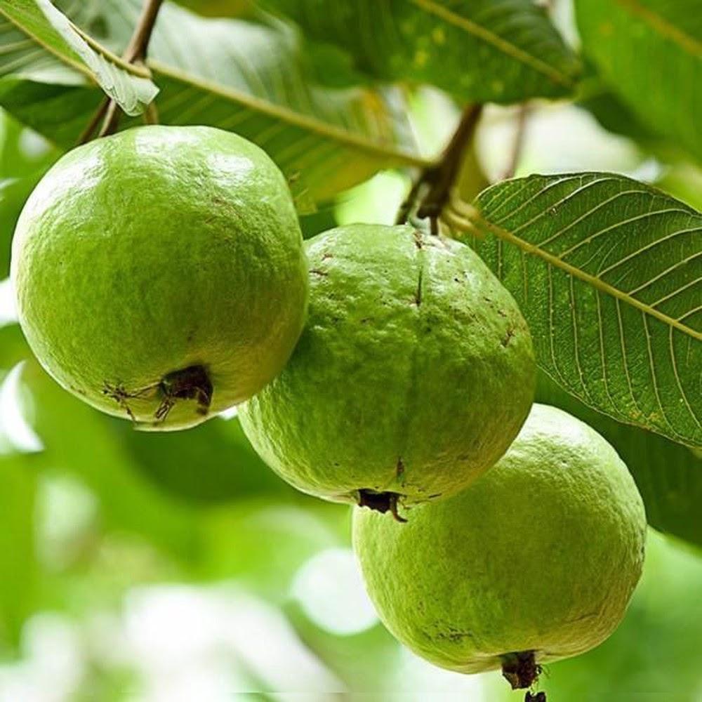 Giải Mã Giấc Mơ Thấy Toà Nhà Bị Sập