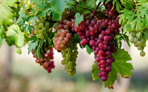 Nằm mơ thấy em bé gái là điềm gì? Giải mã chi tiết