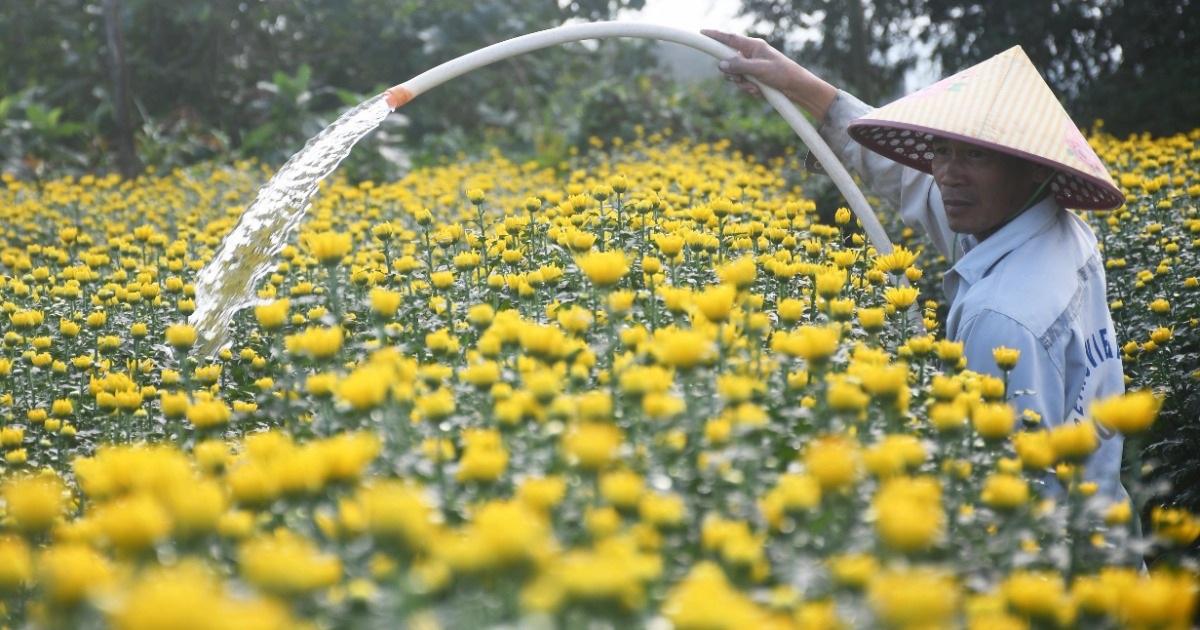 Nằm Mơ Thấy Bắt Được Nhiều Tôm Cá: Điềm Báo Gì?