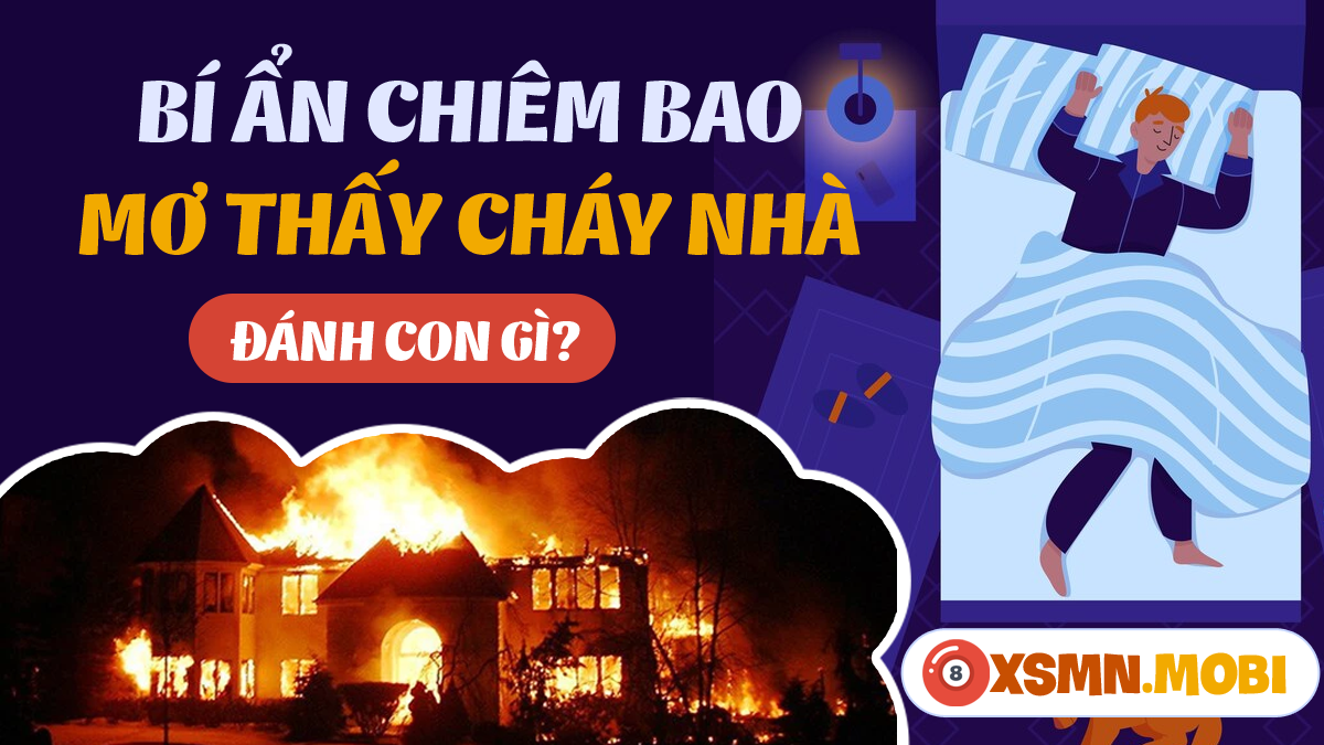 Có Bầu Nằm Mơ Thấy Chảy Máu: Lời Giải Mã