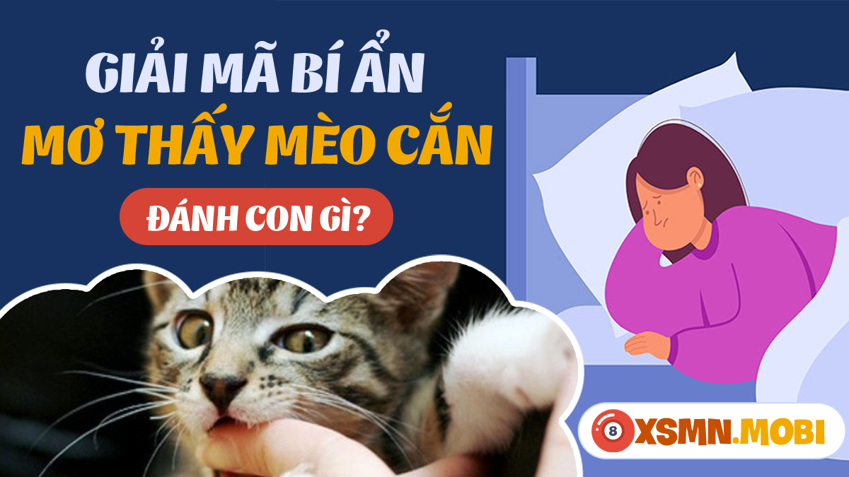Giải Mã Giấc Mơ Thấy Con Ba Ba Và Những Con Số Liên Quan