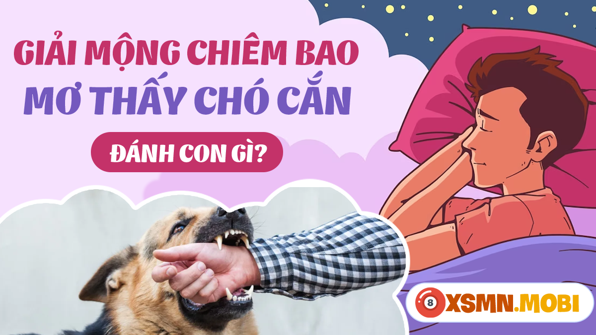 Nằm mơ thấy chó cắn nhau đánh con gì?
