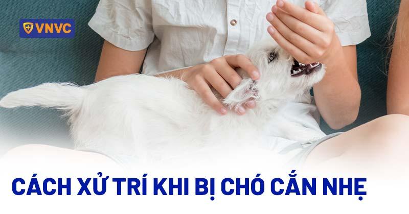Chó Cắn Vào Tay Phải
