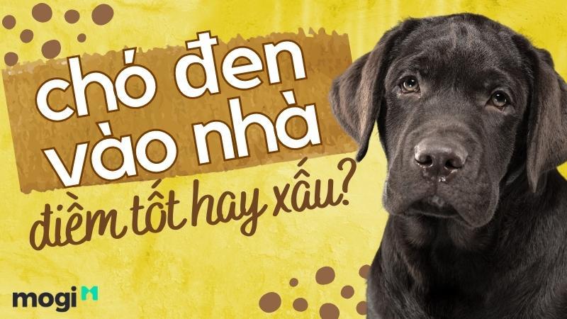 Nằm Mơ Thấy Đánh Nhau Chảy Máu: Giải Mã Và Số Đề Liên Quan