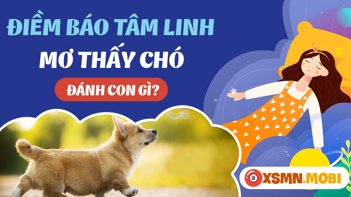 Chó dính lẹo đánh con gì?