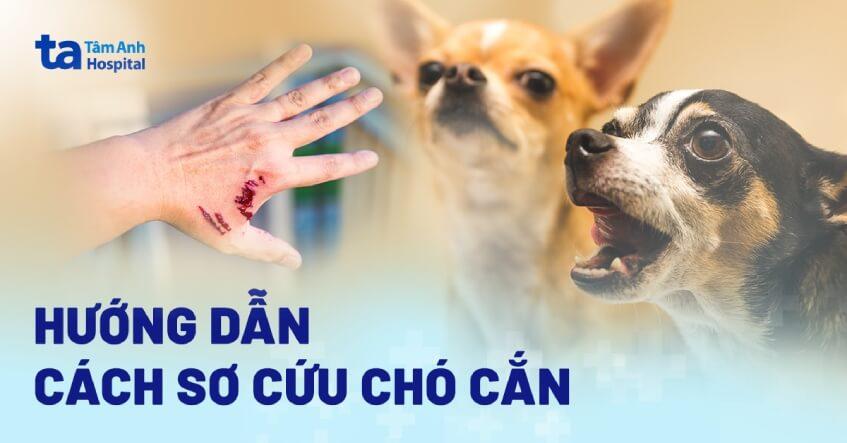Có Bầu Nằm Mơ Thấy Chảy Máu: Lời Giải Mã