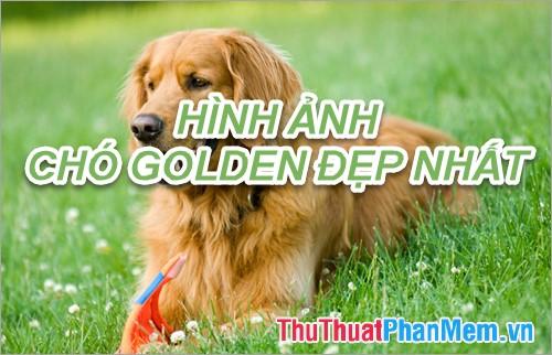 Giải Mã Giấc Mơ Đệm Hát Đêm Nằm Mơ Phố