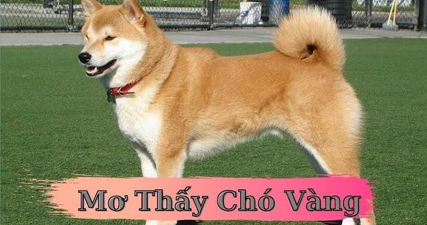 Giải Mã Giấc Mơ Thấy Máy Bay Trực Thăng