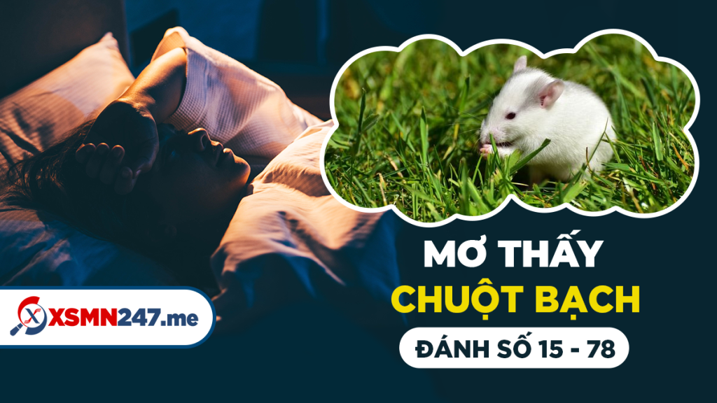 Chuột bạch đánh con gì?