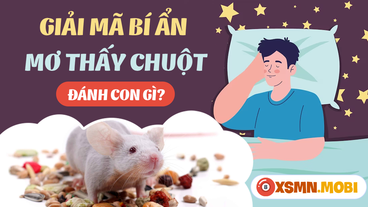 Giải Mã Giấc Mơ Thấy Mèo Rượt Đuổi Và Những Con Số Liên Quan