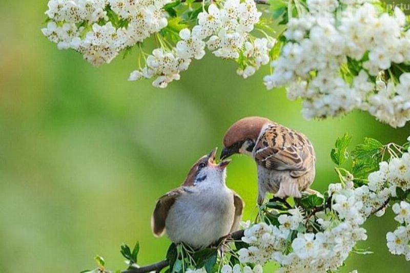 Nằm Mơ Thấy Rắn Mối Cắn: Điềm Báo Gì Về Số Đề?