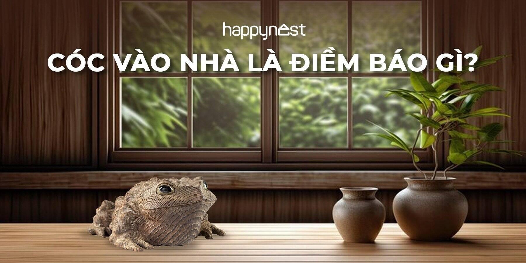 Cóc đen nhảy vào người - Điềm báo gì?