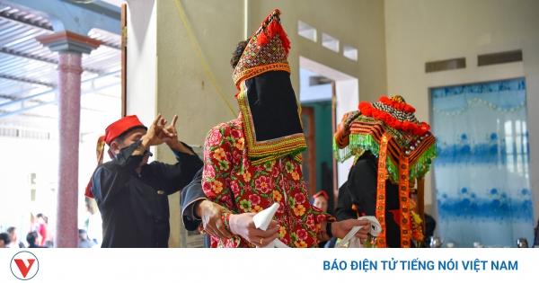 Nằm mơ thấy ve chó là điềm gì? Giải mã chi tiết từ Bậc Thầy Giải Mộng