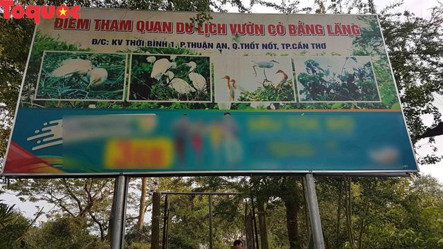 Bà Bầu Nằm Mơ Thấy Con Rết: Điềm Báo Gì Về Số Đề?