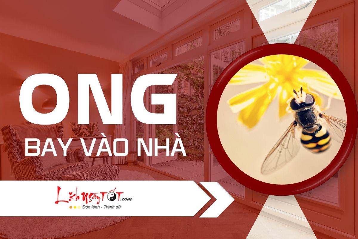 Nằm Mơ Thấy Ba Mẹ Cho Tiền: Điềm Báo Gì?