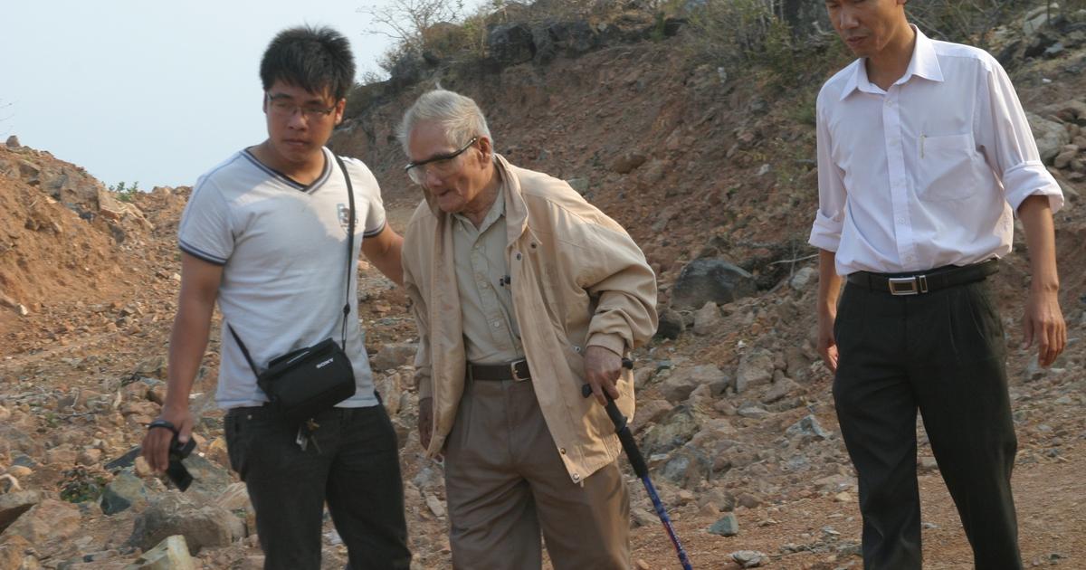 Nằm mơ thấy tổ ong đánh số mấy? Giải mã chi tiết từ Bậc Thầy Giải Mộng