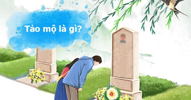 Giải Mã Giấc Mơ Cá Quả và Những Con Số Liên Quan