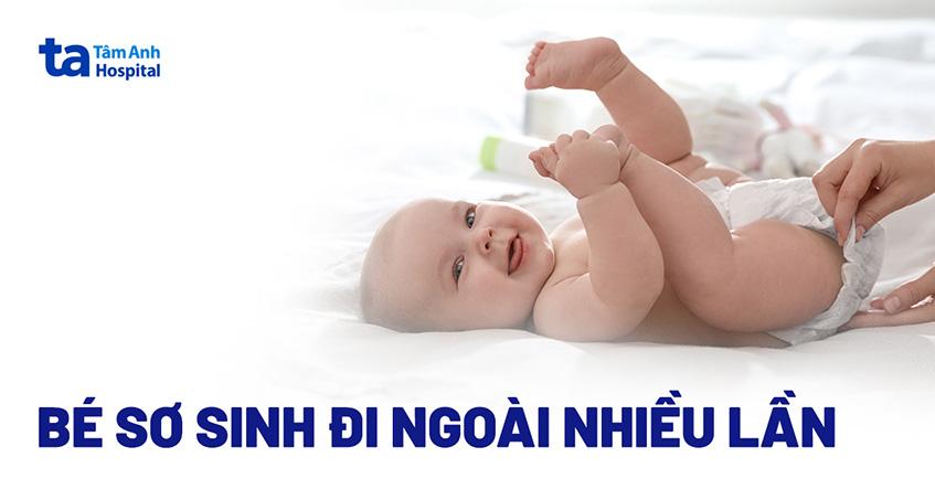 Giải Mã Giấc Mơ Thấy Bắt Con Cóc Và Những Con Số Liên Quan