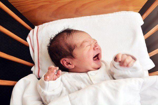 Nằm mơ thấy con ong là điềm gì? Giải mã chi tiết