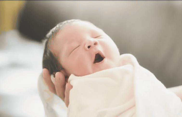 Nằm Mơ Thấy Cá Cắn Tay: Điềm Báo Gì Về Số Đề?
