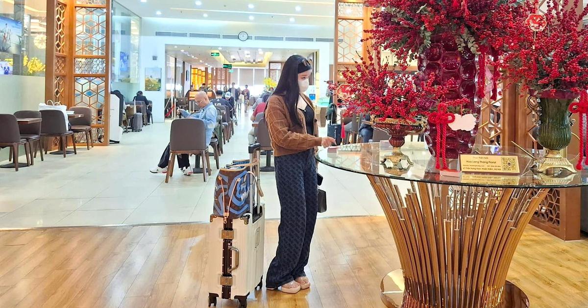Gà đẻ trứng vàng trên đồng cỏ