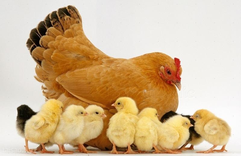 Nằm Mơ Thấy Lấy Tiền Của Người Chết: Giải Mã Và Ý Nghĩa