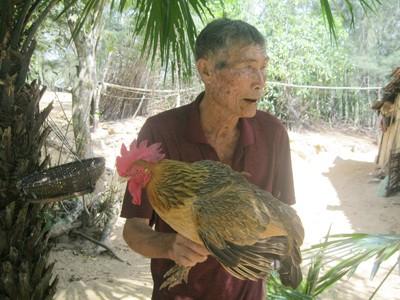 Nằm mơ thấy ăn ổi đánh con gì? Giải mã giấc mơ lô đề