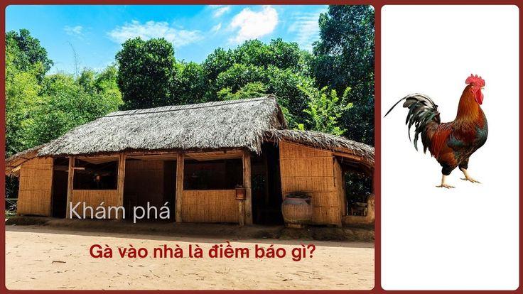 Nằm mơ thấy lỗ rốn đánh con gì? Giải mã bí ẩn