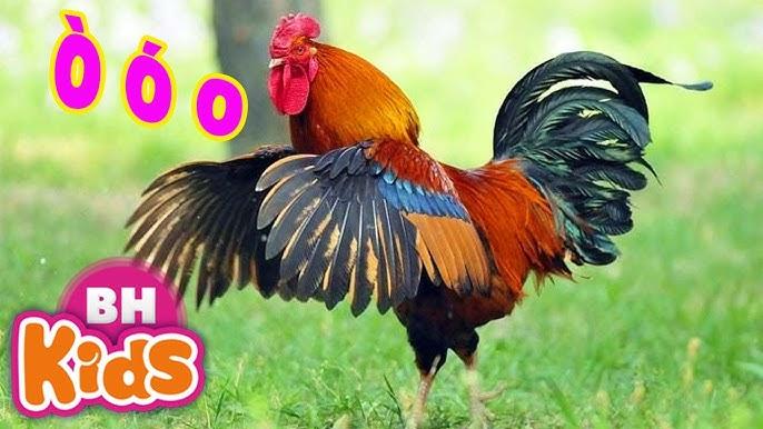 Giải Mã Giấc Mơ Thấy Mình Gội Đầu Và Những Con Số Liên Quan