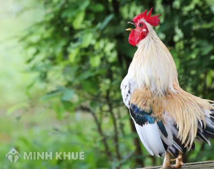 Nằm Mơ Thấy Máu Trên Tay: Điềm Báo Gì Về Số Đề?