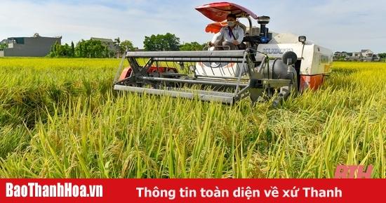 Nằm Mơ Thấy Mình Cắn Người Khác: Giải Mã Số Đề