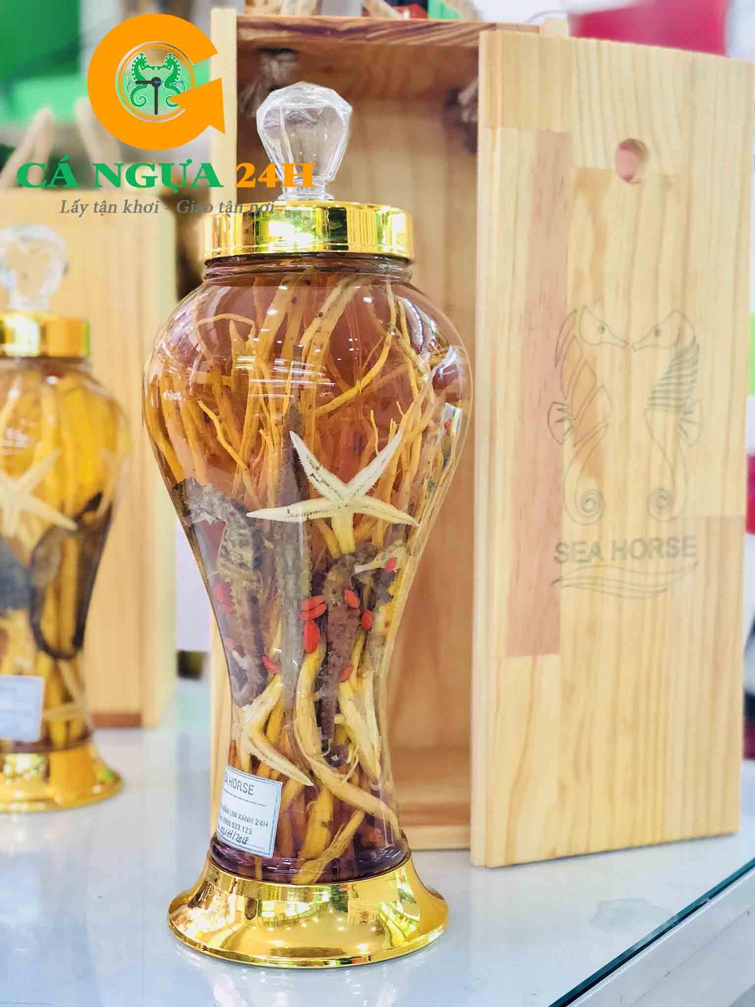 Giải Mã Cá Ngựa Đánh Đề